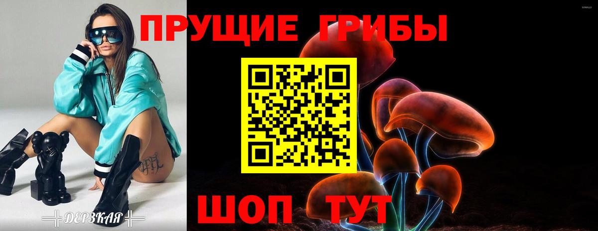 купить закладку  Вход с VPN  Щёлково  Галлюциногенные грибы Cubensis  Псилоцибиновые грибы Cubensis 
